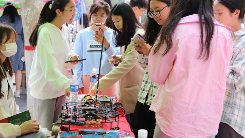 揭秘数据服务公司：十大品牌背后的实力与选择