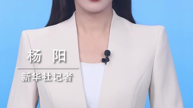 数据安全认证标准：企业如何确保信息无虞